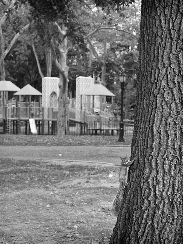 WGH_LobbyB&W_009_Final_preview